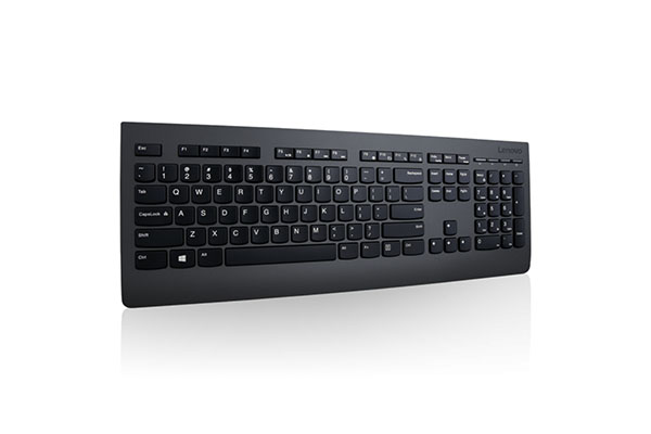 LENOVO PROFESSIONAL WIRELESS KEYBOARD AND MOUSE COMBO - ARABIC 253 - 4X30H56797